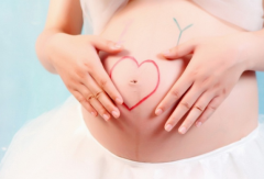 ���������޳����������Թ�Ӥ���ڱ�������