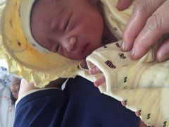 恭喜丁克家族成功助孕